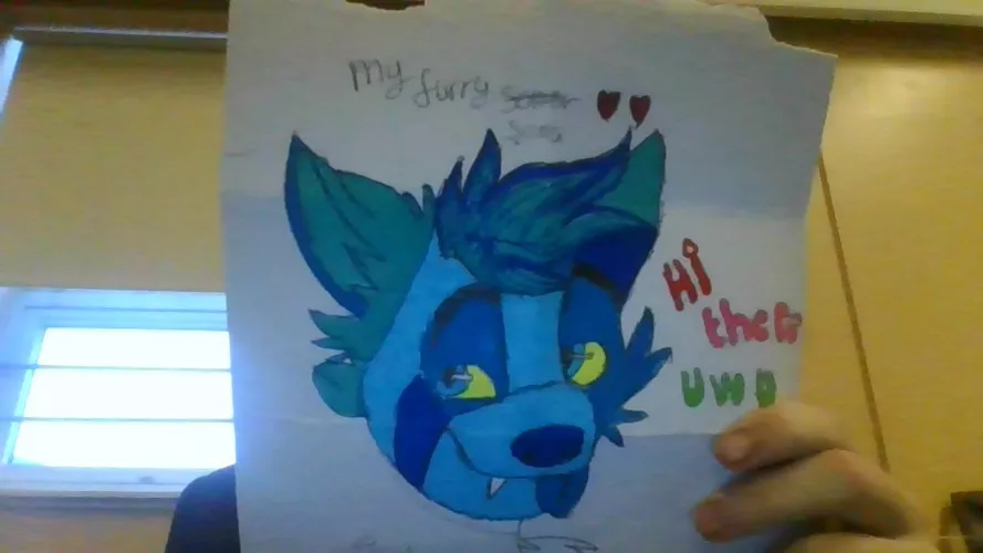 1st Time drawing my fursona What do you think