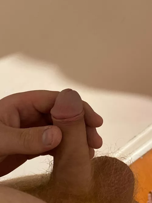 [20] Hope you like it