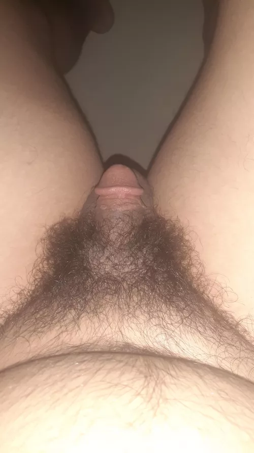 [20] just a lad with a small dick, sharing these stuff for fun