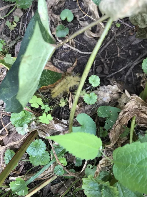 20 [m4f] chances are no one will see or add but hey hmu if ya chill jake_yate21 ;)