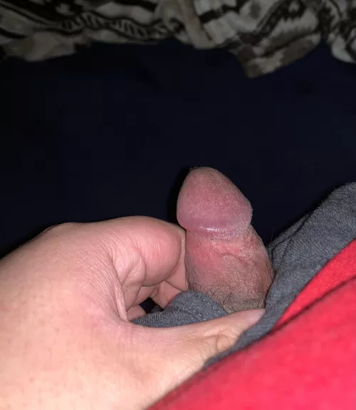[20] Who wants to suck my small virgin cock until I cum?