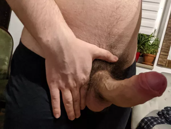 20 y/o student here, not sure if it's big or good-looking enough π
