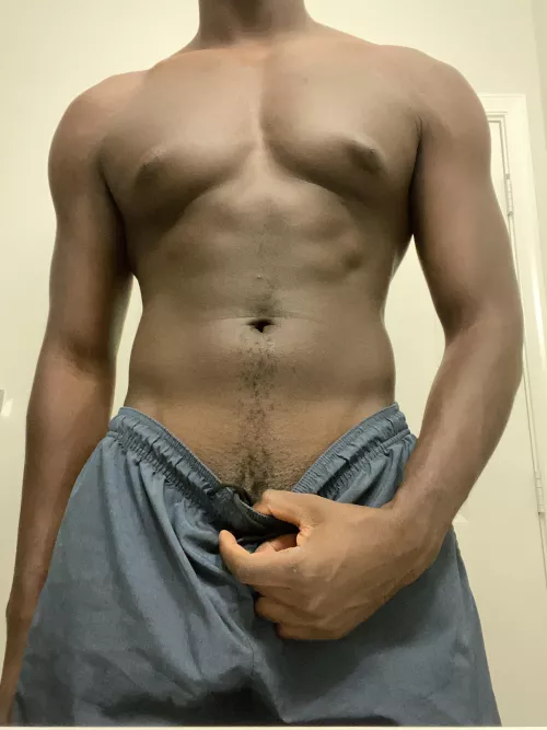 21 M Fit BBC Bull in Miami 21 M Fit BBC Bull in Miami