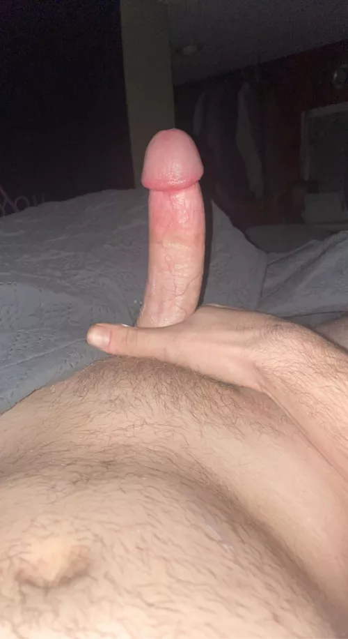 21 morning wood