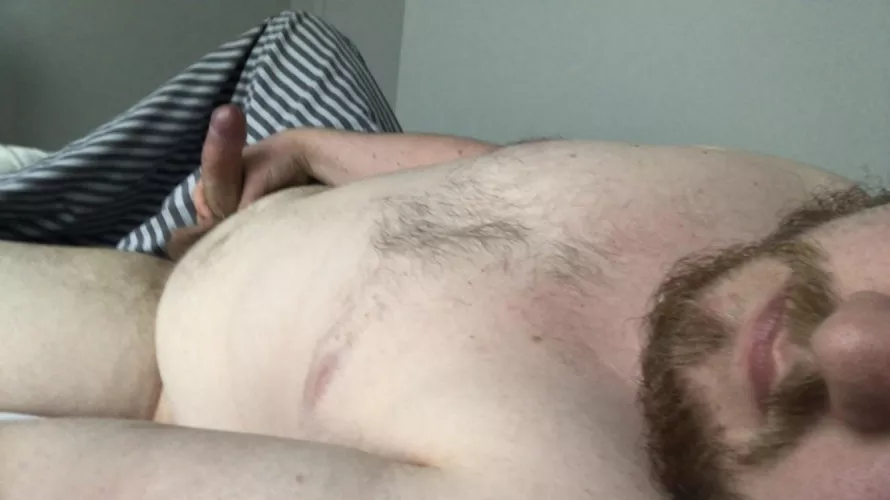 21 year old cub here. First time posting here. Need a daddy.