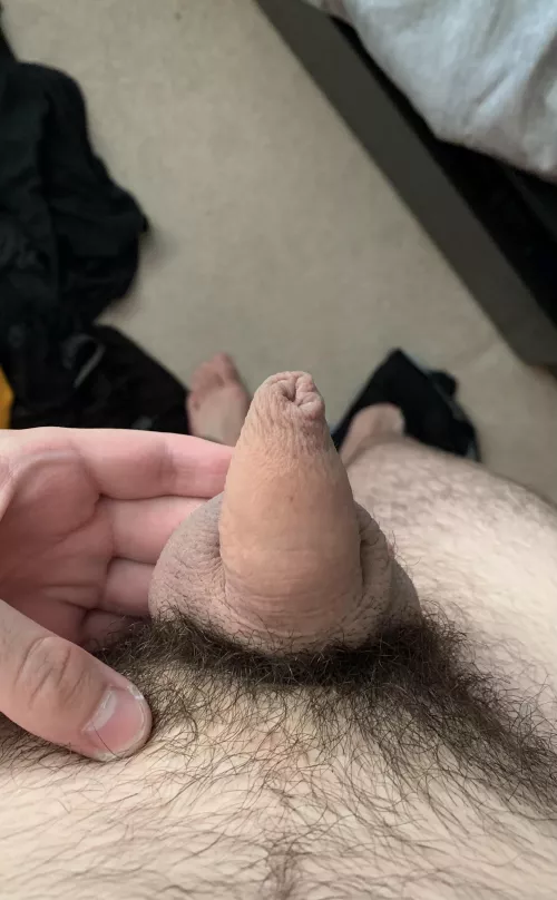 (22) Flaccid Friday