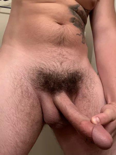 22m Hung bull in Madison Wi. Let me stretch your wife. 22m Hung bull in Madison Wi. Let me stretch your wife.