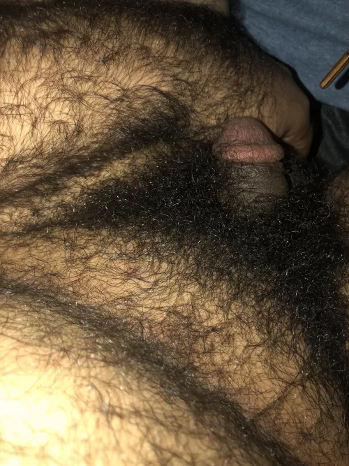 23 hairy curious Arab (soft) snap: Zarab5151 HMU for more ๐