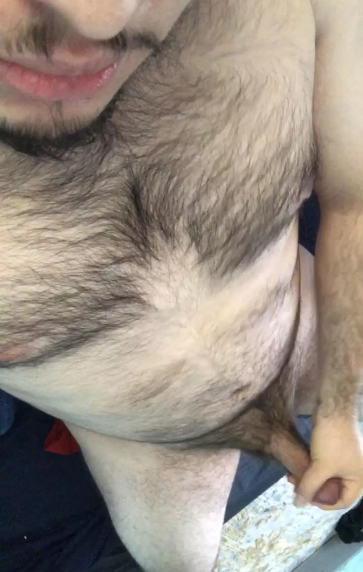 23 Latin bear ;) 23 Latin bear ;)