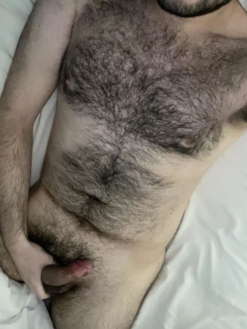 23 m dms open