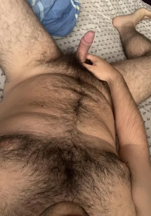 (23) Very hairy bear cubπ