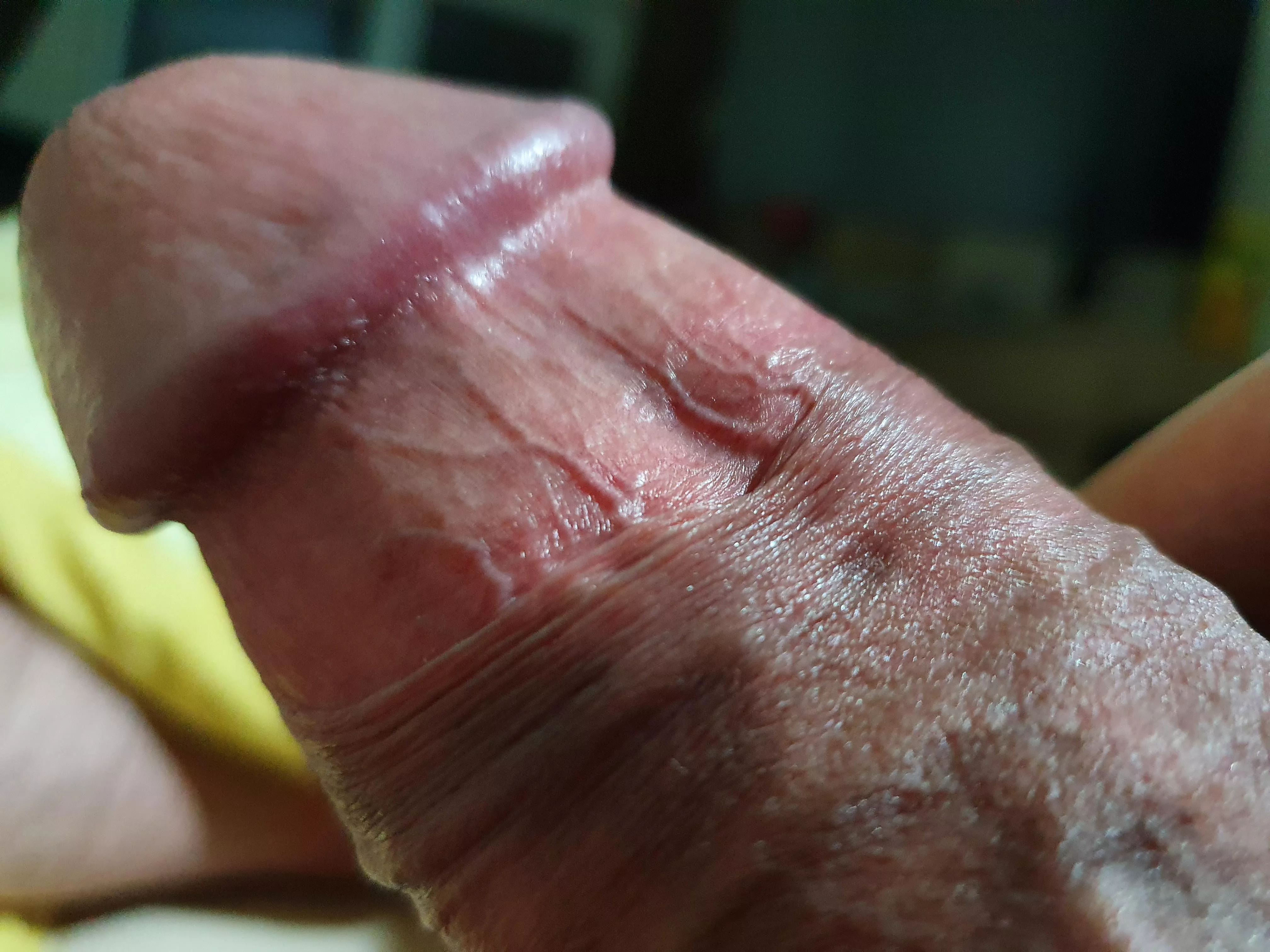 23 yo gay boy + huge dick (21 cm) + horny ----> add me on snap: @sangreal1848