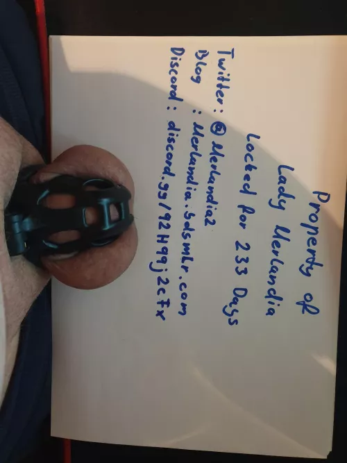 233days locked and my Lady Merlandia is looking for New slaves