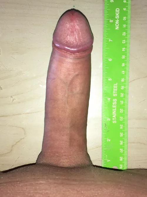 23cm x 17cm