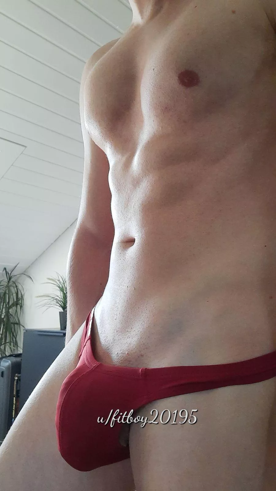fitboy20195. 
