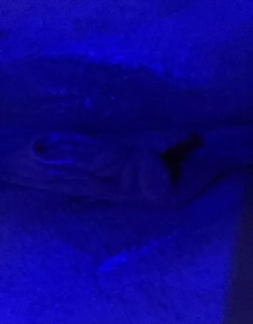 24 [f4f] come lick up my wet cunt