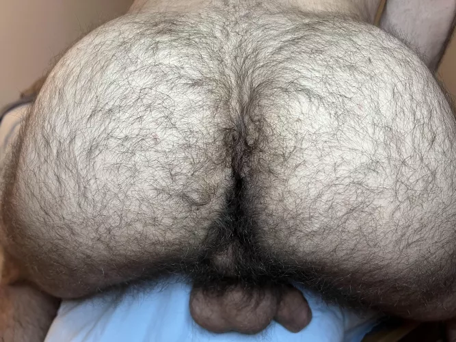 24 in shape bottom with a thicc tight furry bubble butt. 🍑im horny as hell, DM me