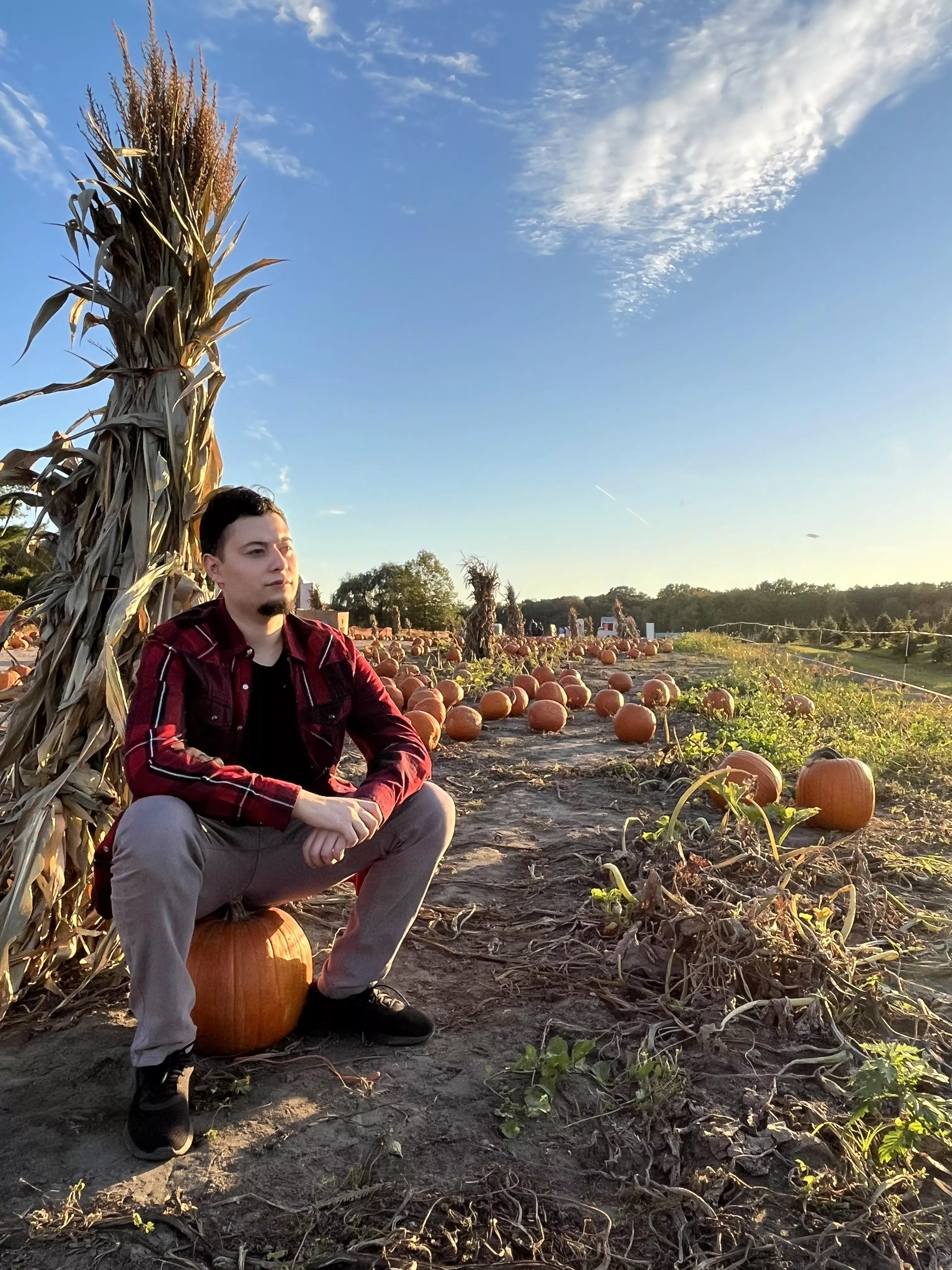 24 m Idk if u think I’m cute or not but my 🍑 is phat and I’m a good vibe. Pms open to chat.