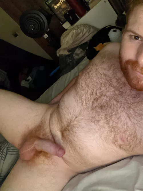 24 year old chubby dude here looking for some company ;)