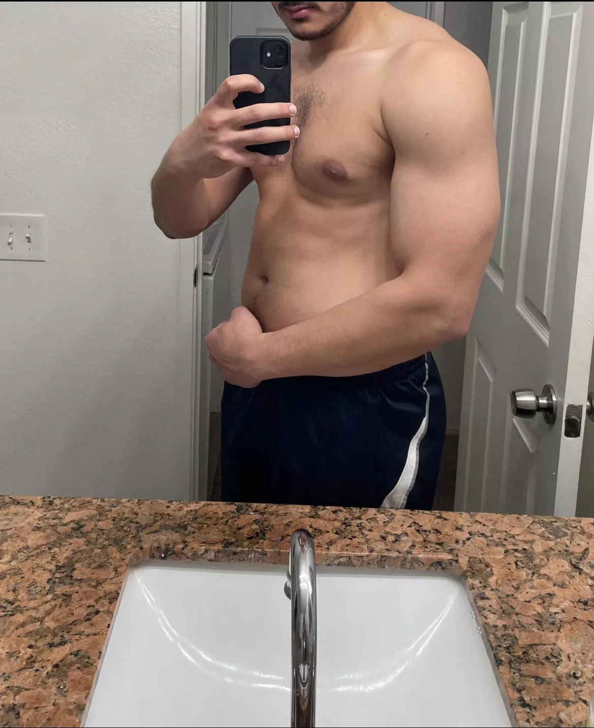 24M Experienced and Fit Bull