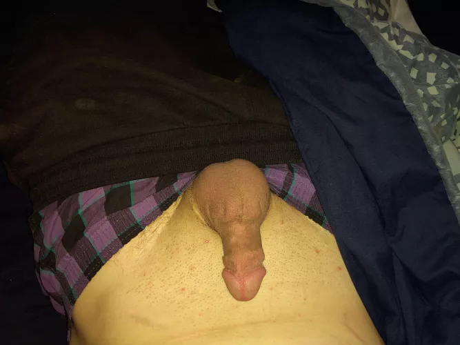 (24)(oc)so soft right now๐
