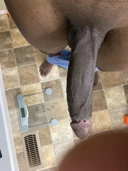 25 M in the Seattle/Tacoma area is their any little sissies that want this