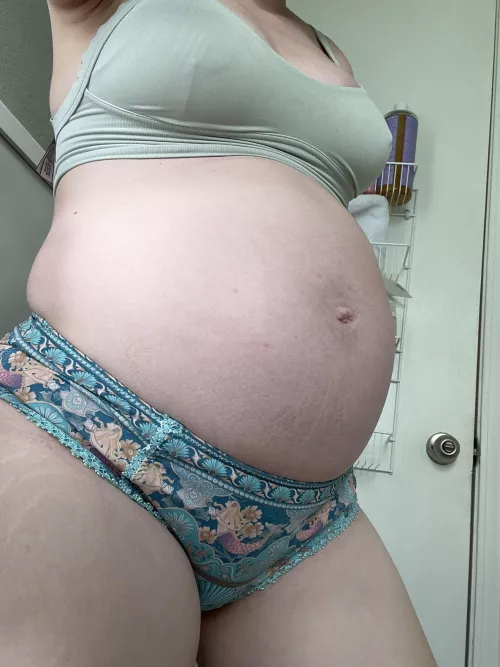 Pregnant Pusy