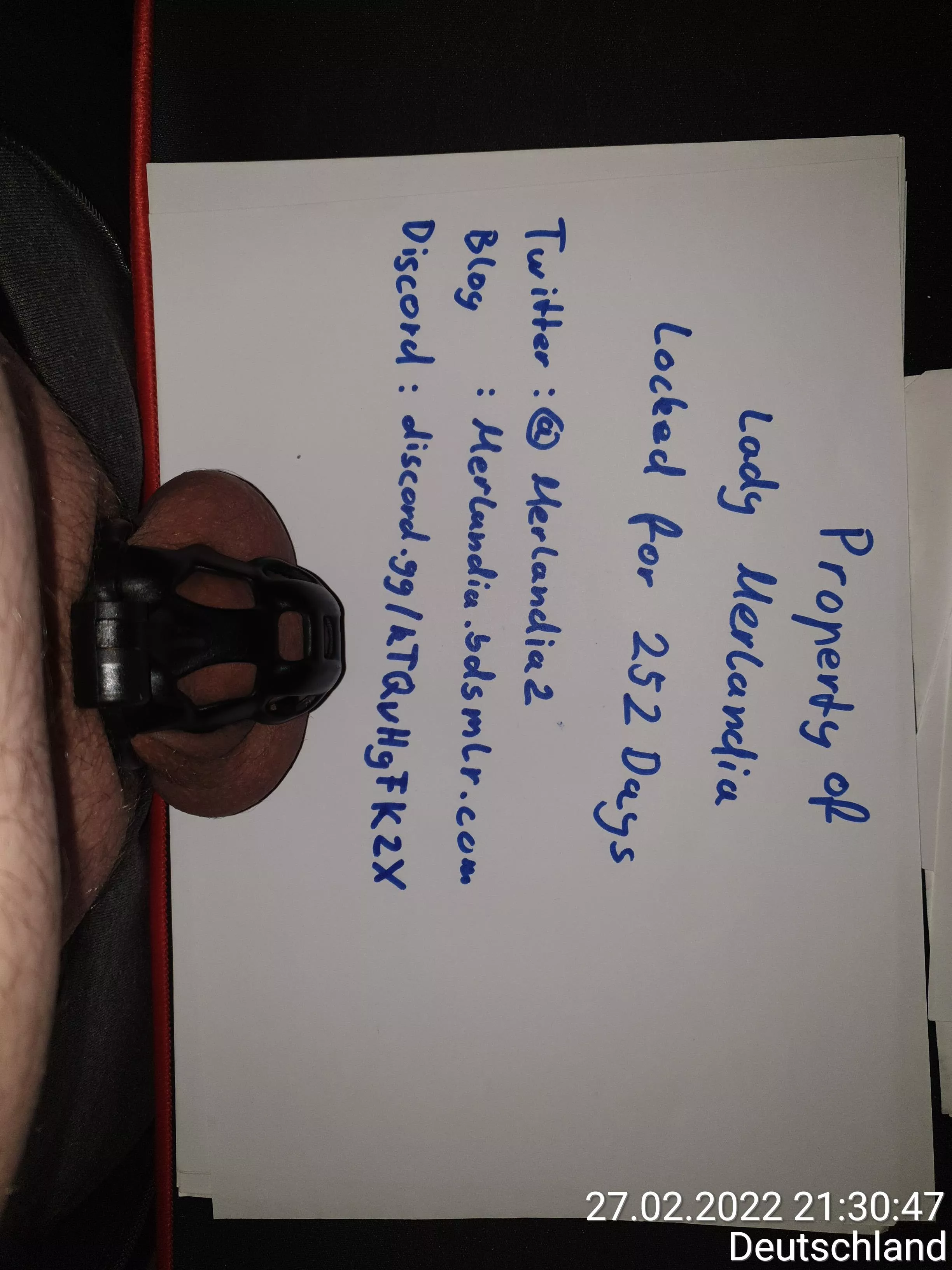 252 days and ongoing my Lady is still looking for new slaves