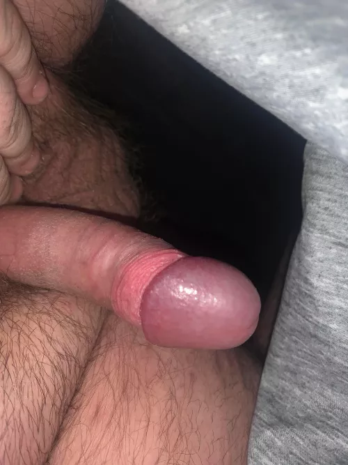 (26) my favourite picture of it, looks a decent size right?