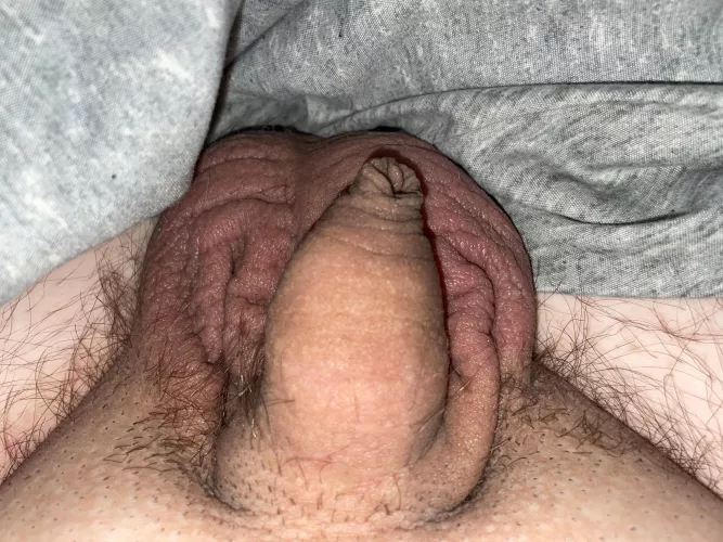 (26) thought I’d share a softy 😅