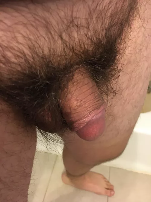 [27] Flaccid Dick