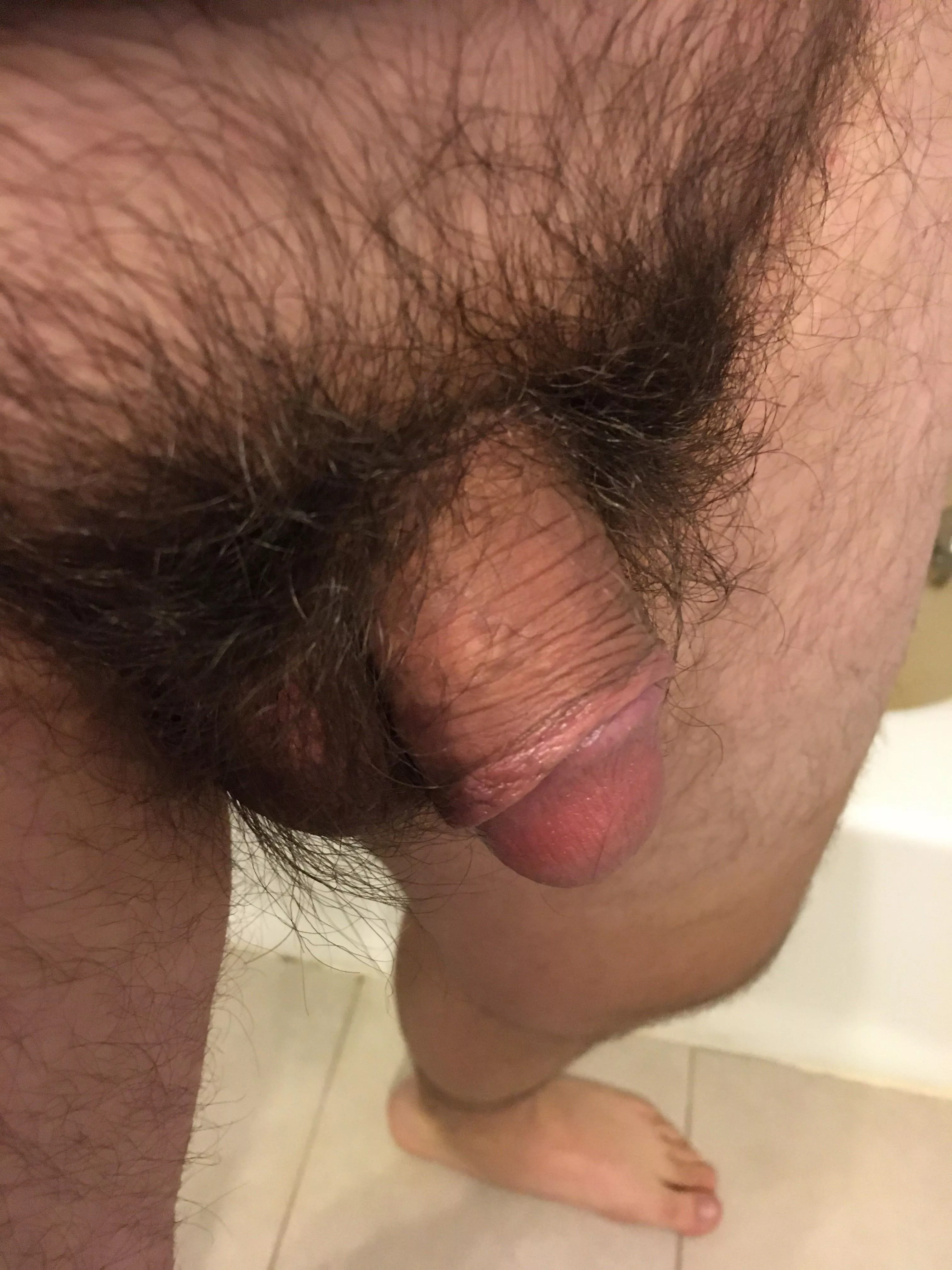 [27] Flaccid Dick