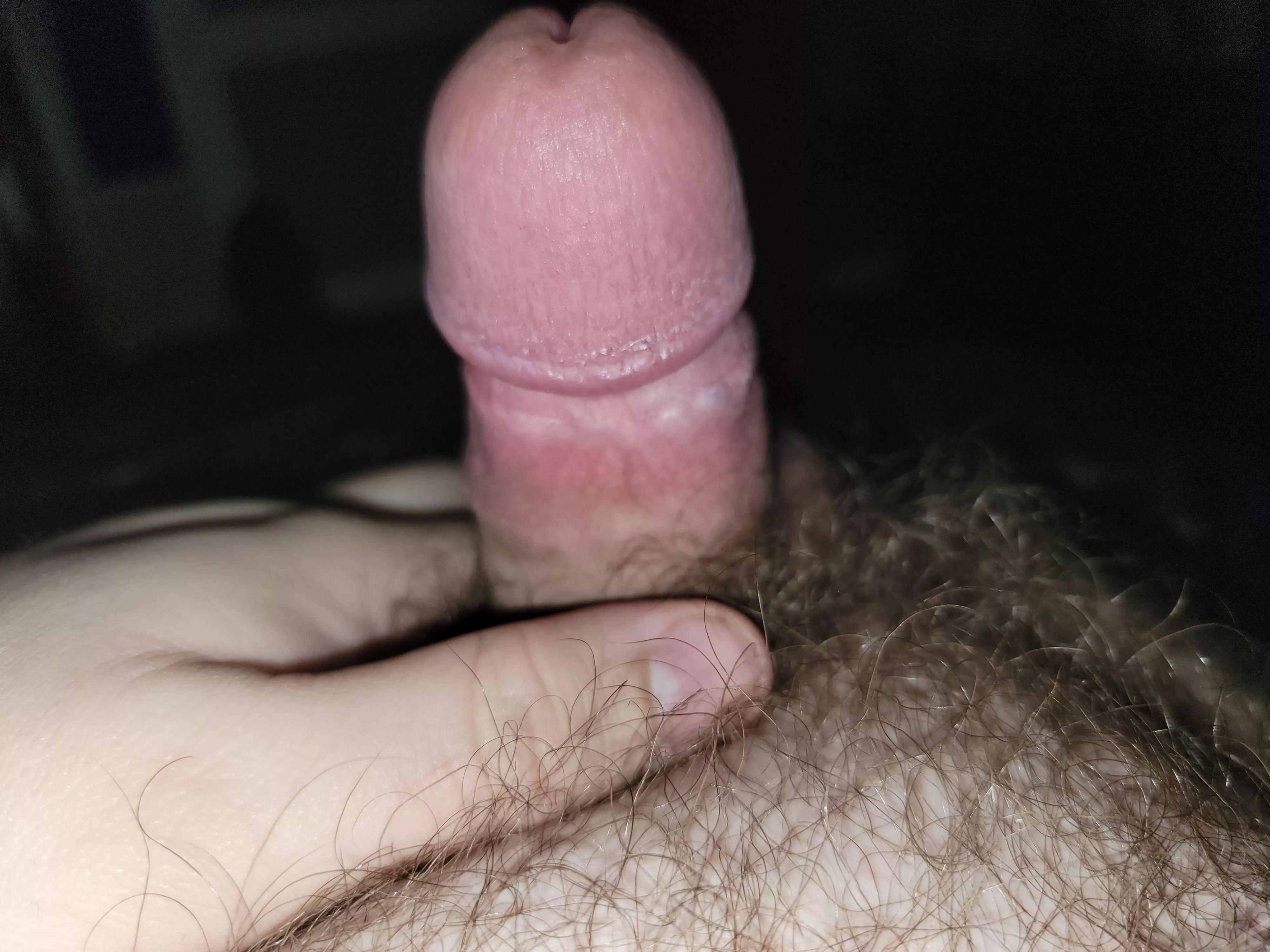(27) little 3 inch guy looking to dom or play. Don't be shy he doesn't bit 😉