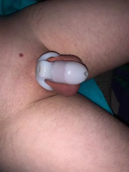 28 - First time in chastity - any advice for a beginner? 28 - First time in chastity - any advice for a beginner?