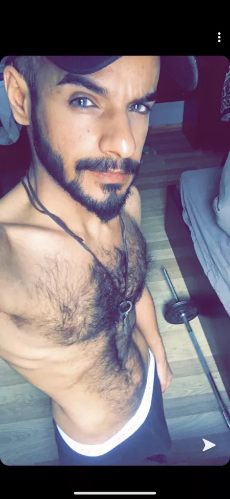 28 hairy master π