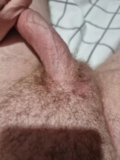 29 m Any pervy guys on? Gayglasgowlad