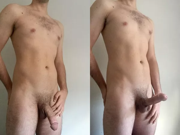 29 M - Los Angeles Bull 29 M - Los Angeles Bull