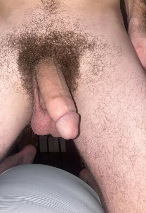 2bibros exposed