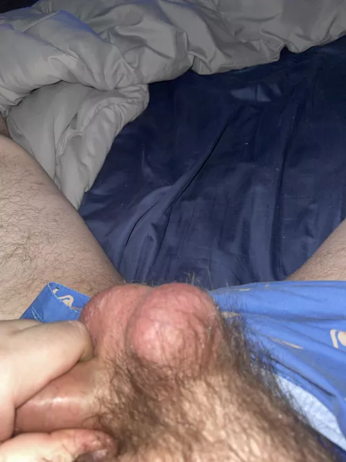 30 M TN