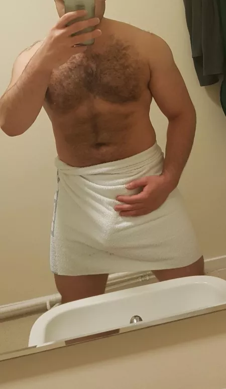 30M Respectful, experienced and easy going UK-based Bull 30M Respectful, experienced and easy going UK-based Bull