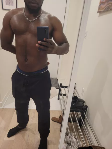 30M Toronto bull looking for a hotwife to have a discrete fun with this weekend 30M Toronto bull looking for a hotwife to have a discrete fun with this weekend