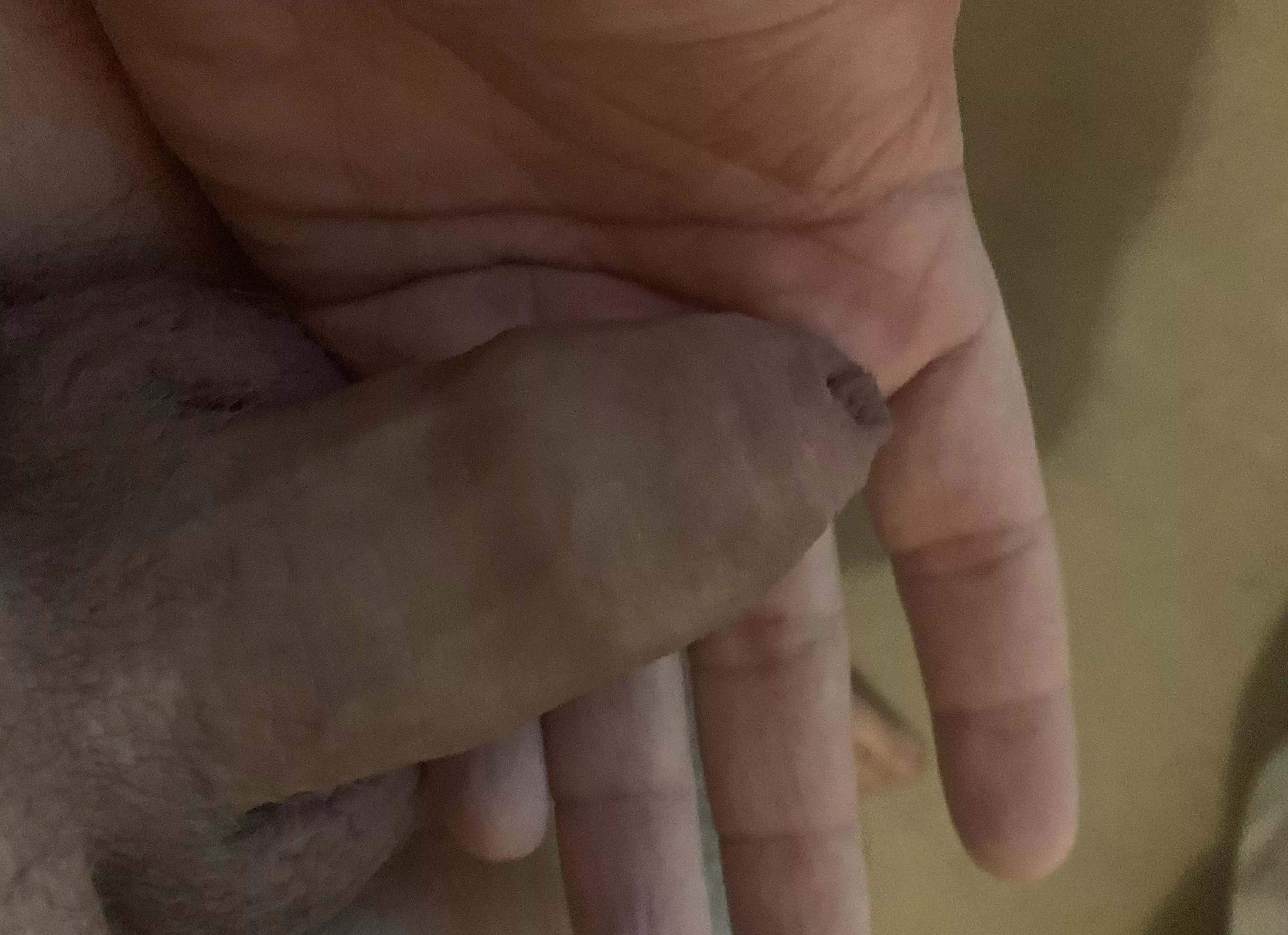 (31) DM me any comments (31) DM me any comments