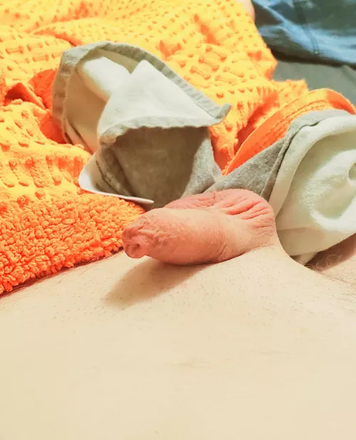 [31] I won't be able to sleep unless someone takes care of my pp. Please help