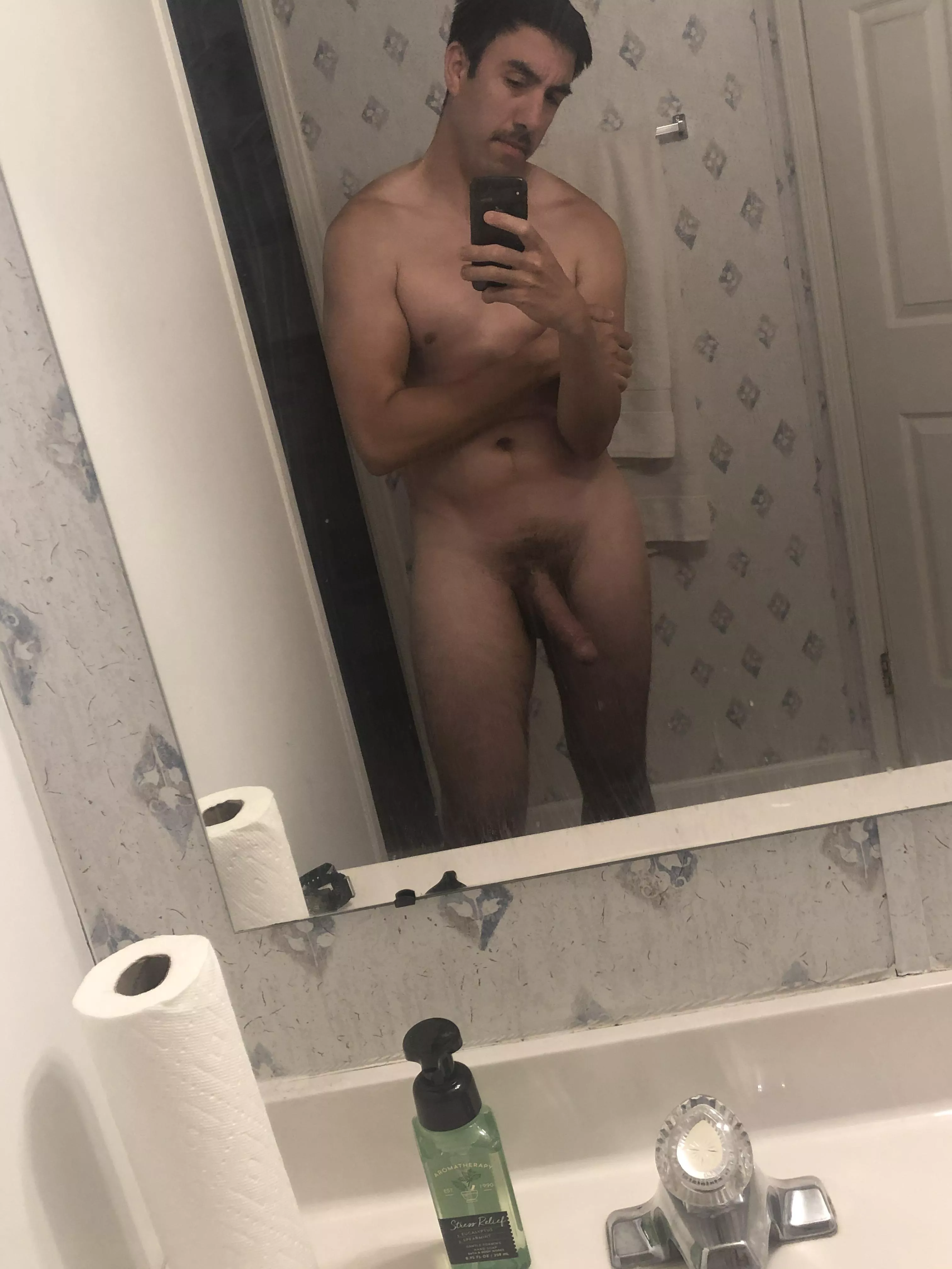 31 year old Texas Bull.