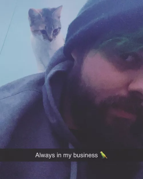 31m looking for a little that likes to chat I’m just a lost daddy