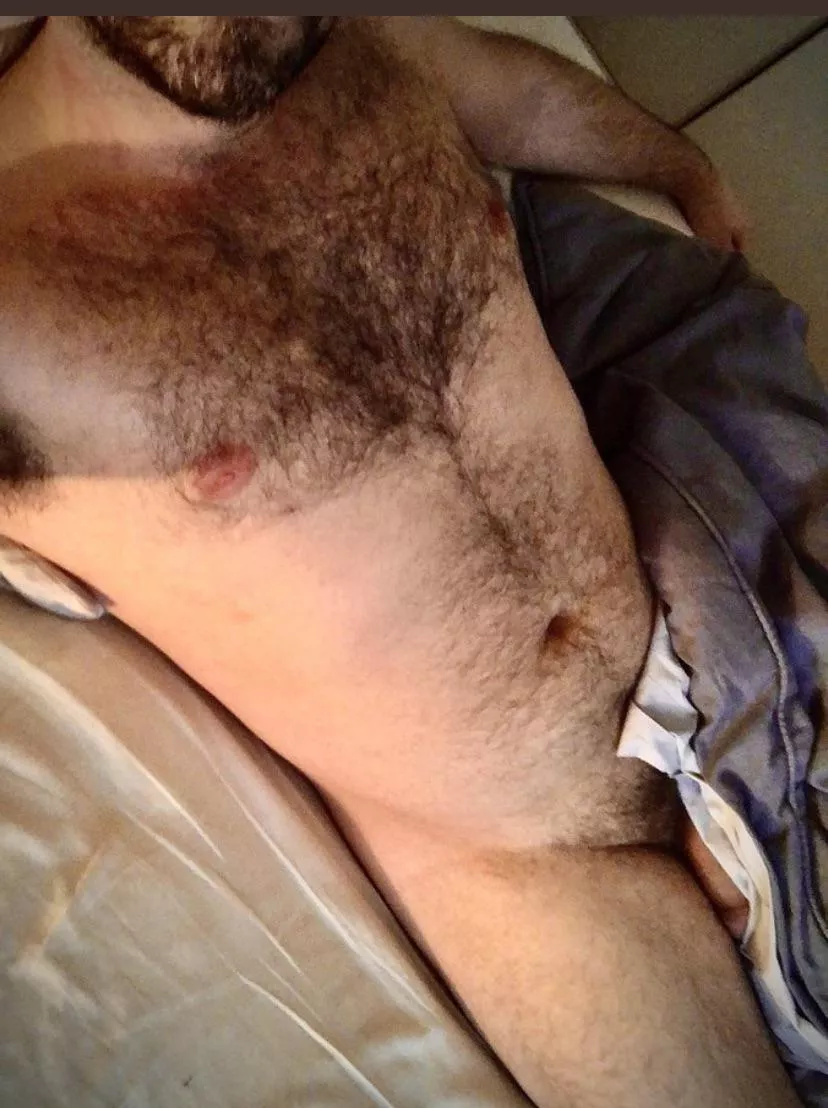 (32) looking for Papa bear. (32) looking for Papa bear.