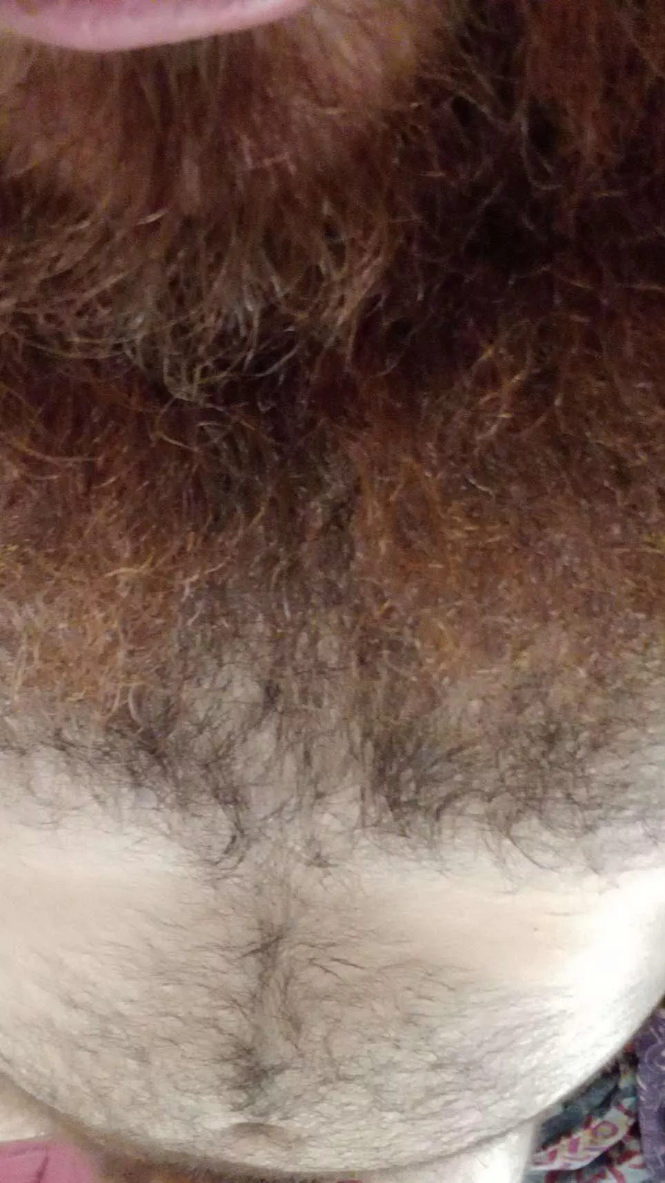 32 uk anyone into hairy chest and belly, DMs open