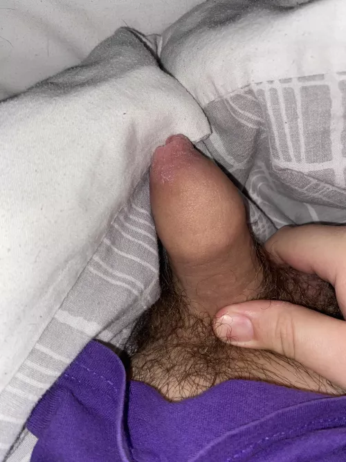[33] Morning Wood
