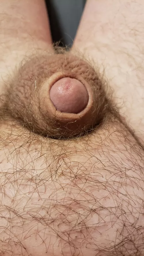 [33] think it's time for a hair cut