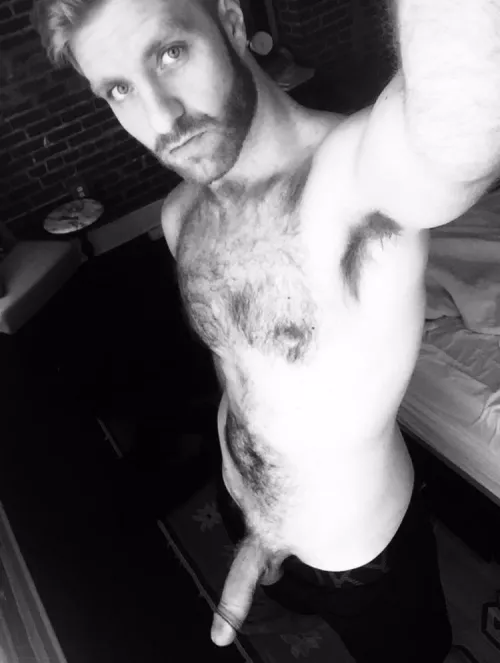 33M Bull in Denver - Lets play while hubby is at work